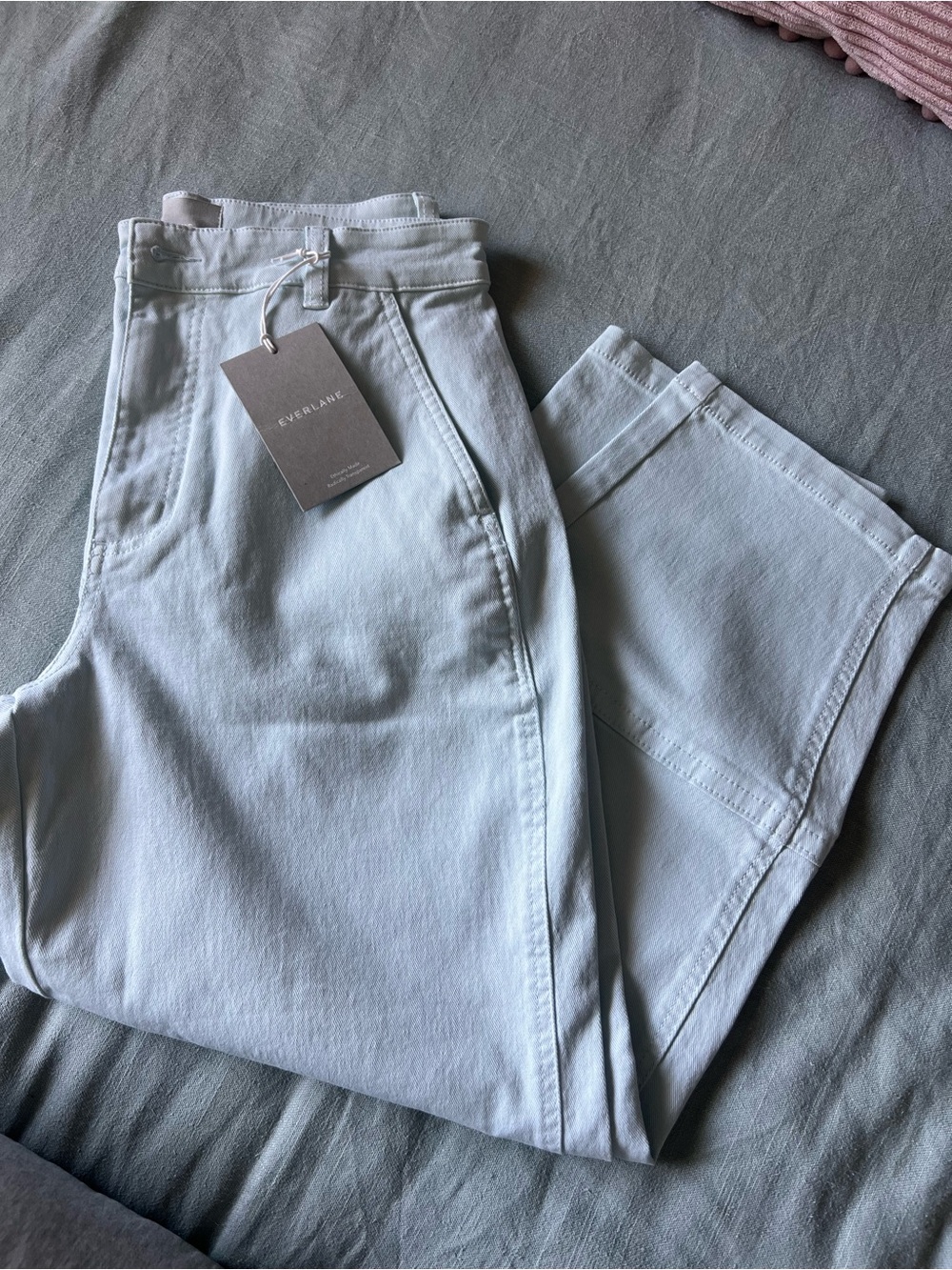 Everlane Utility Barrel Pant Size 8 / Light Blue